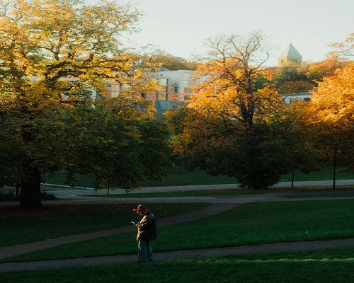 An active adult man walking through a green urban park during a sunny autumn afternoon